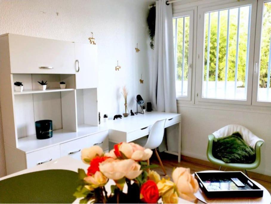 Studio Proche Centre Wifi Parking Apartment Montpellier Exterior foto